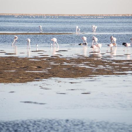 Flamingo Villas Boutique Hotel Walvis Bay Exterior foto
