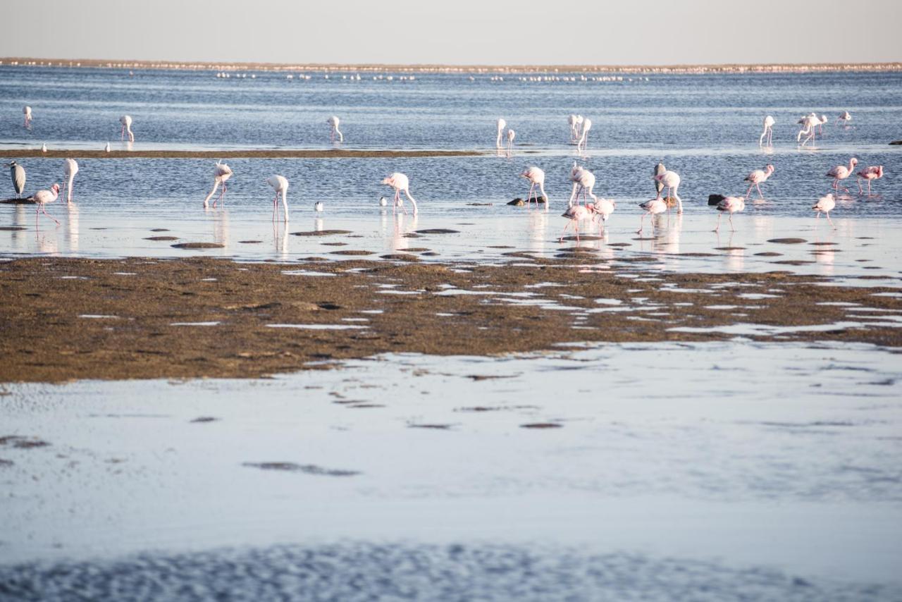Flamingo Villas Boutique Hotel Walvis Bay Exterior foto